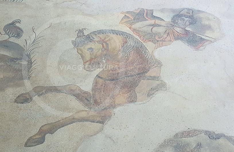 Mosaico delle Amazzoni, Museo dei Mosaici del Giardino di Aleppo - Şanlıurfa