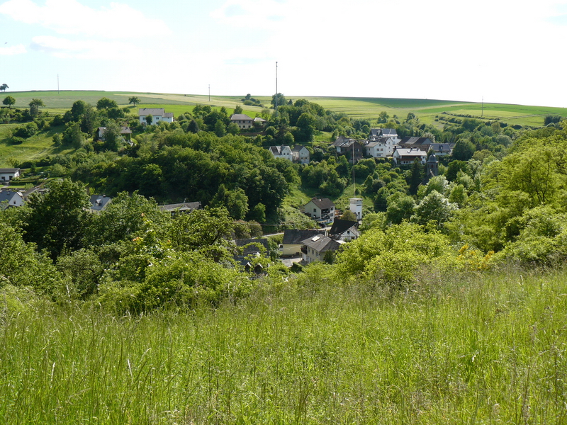 Blick von der Burg über die Ortslage auf den "Berg"