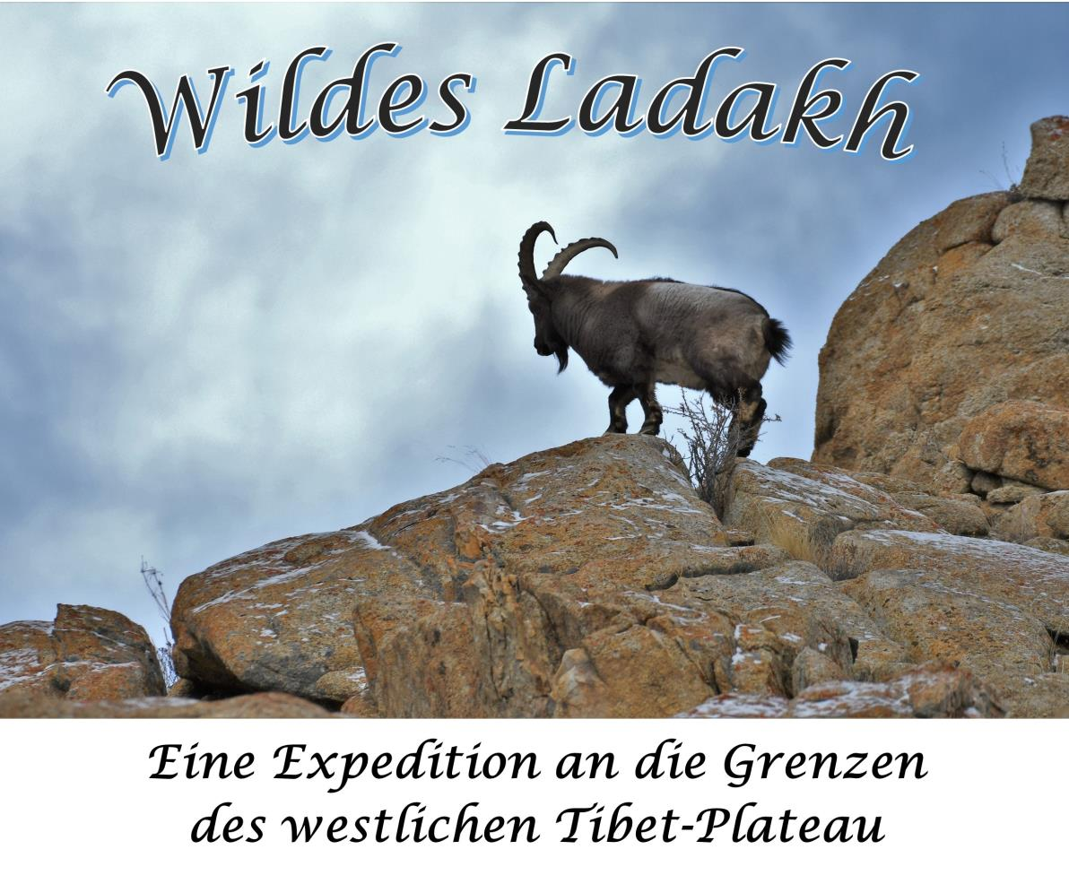 Wildes Ladakh, 25. Nov., 19.30h, Vortrag in Aesch