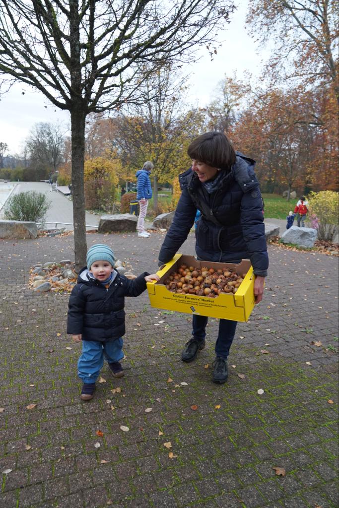 Kleine und Grosse helfen...die vielen Mispeln einzusammeln...
