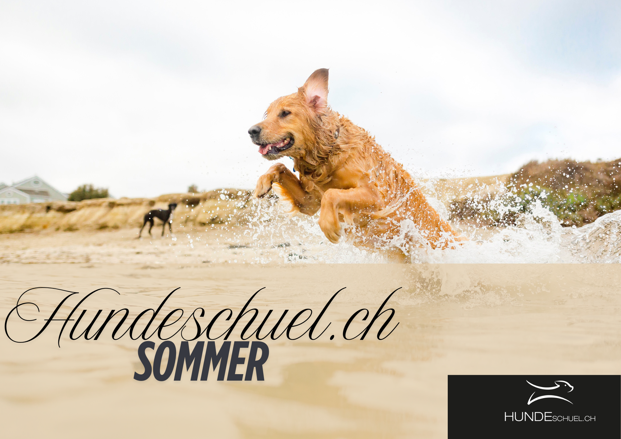 Der Sommer ist da :-)