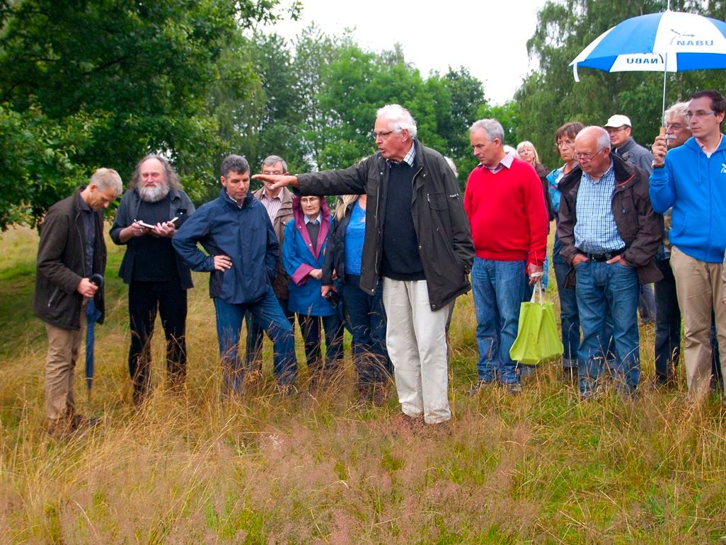 Botanische Wanderungen, wie hier auf dem Knickbrink. - Foto: Kathy Büscher