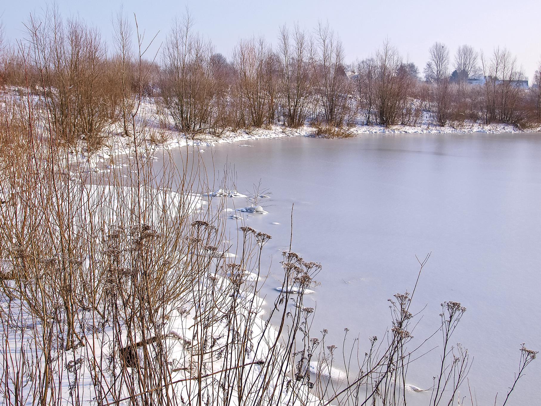 Der kleine, östliche Teich ist im Januar zugefroren, das Ufer verschneit.