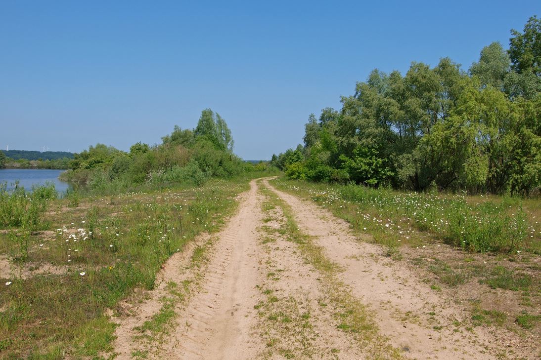 Weg durch das Naturschutzgebiet. - Foto: Kathy Büscher