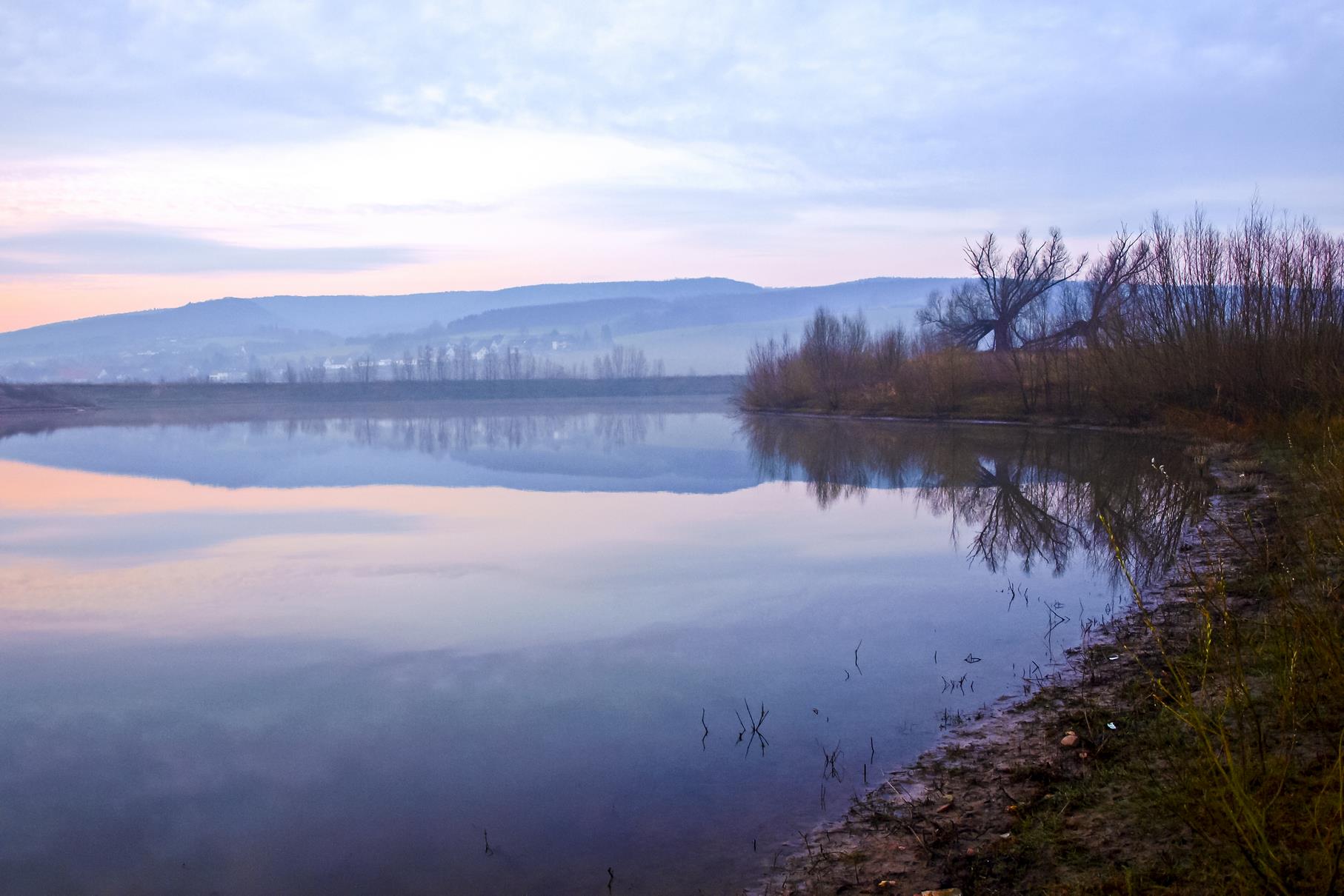 Das Ufer des westlichen Teiches mit den großen Kopfweiden in der Morgendämmerung.