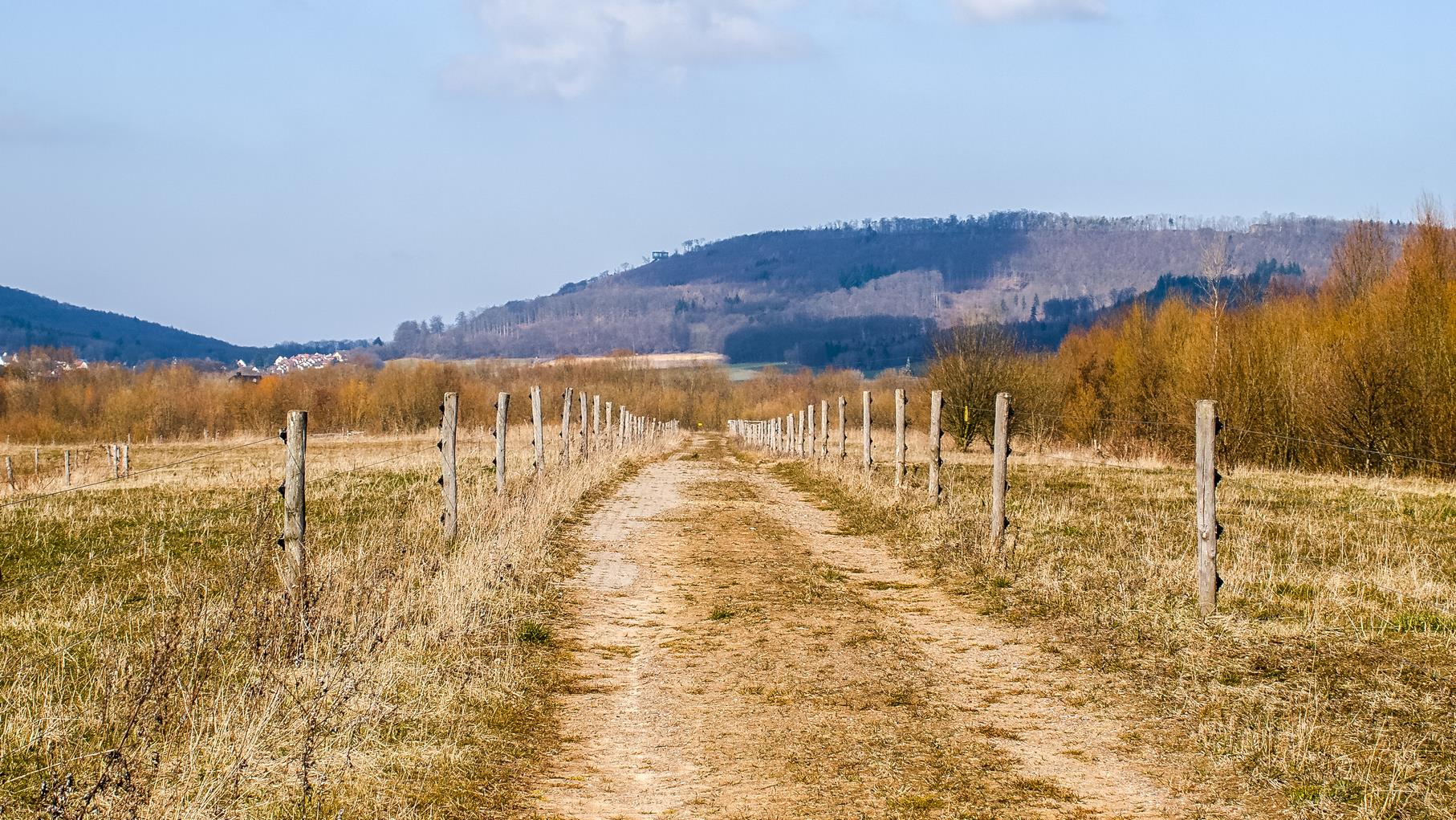 Der Stichweg mit den Weidepfählen, die auf beiden Seiten aufgestellt worden sind, damit sich die Weidetiere dort aufhalten können.