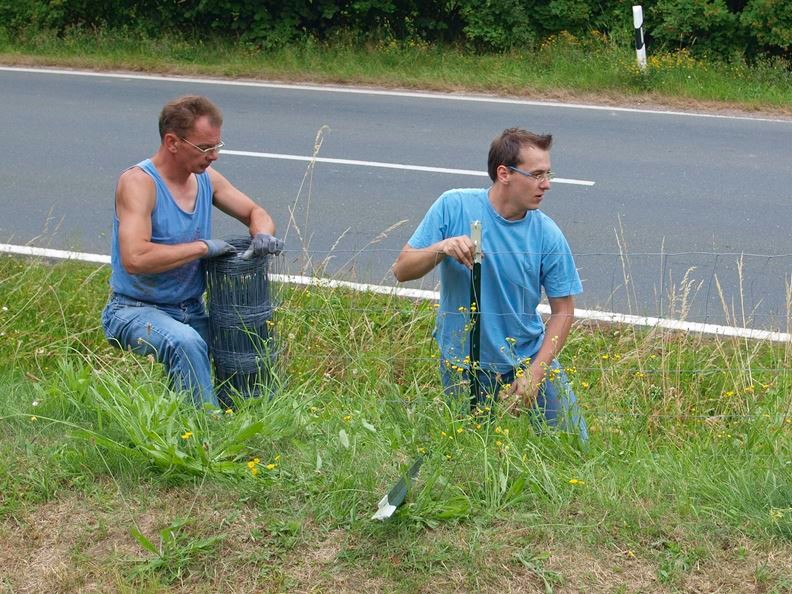 Die Ehrenamtlichen machen die neue Weide "schafsicher". - Foto: Kathy Büscher