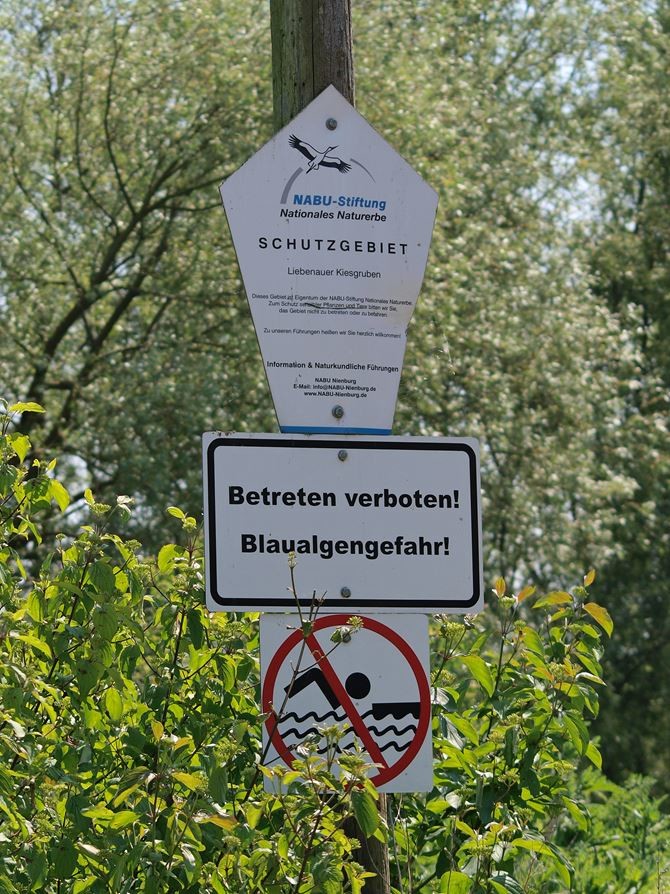 Hinweisschild im Naturschutzgebiet. - Foto: Kathy Büscher