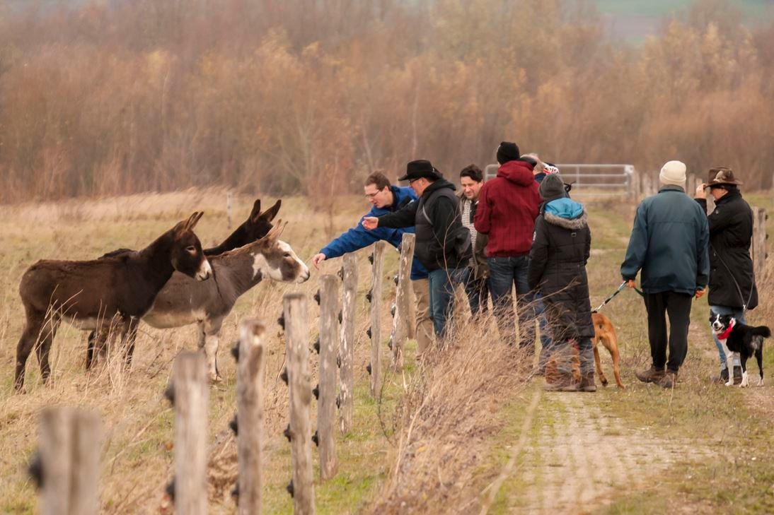 Exkursion in der Auenlandschaft Hohenrode. - Foto: Kathy Büscher