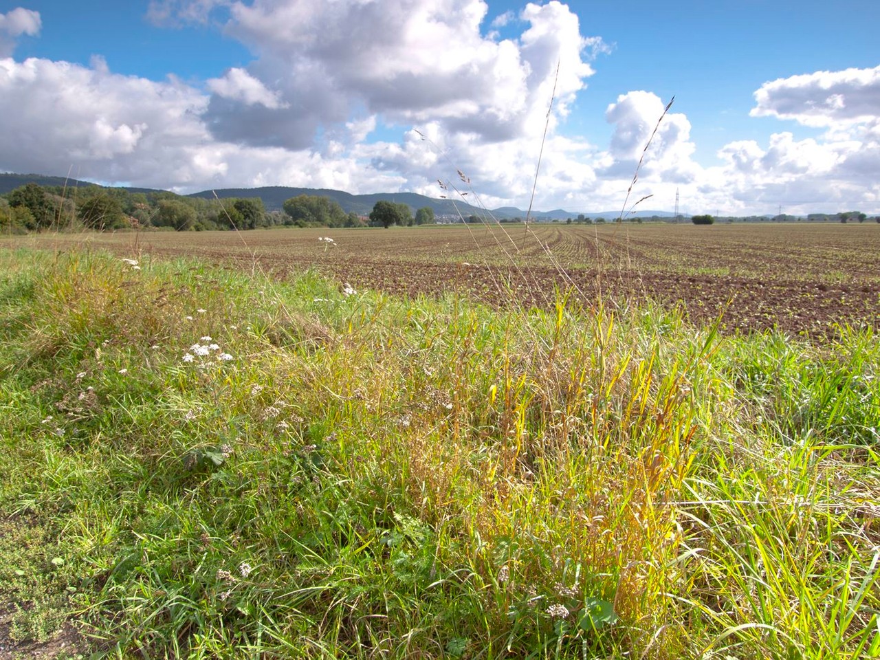 Nsg Aher Kampe Willkommen Beim Nabu Rinteln Salonpas hcmc marathon is a full puzzle with each piece comes from you, from your contribution, your experience with us and that puzzle is what we call more than a race!