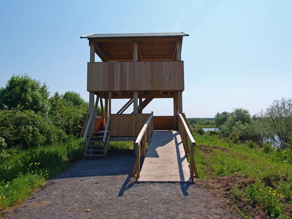 Der Aussichtsturm in den Liebenauer Kiesgruben. - Foto: Kathy Büscher