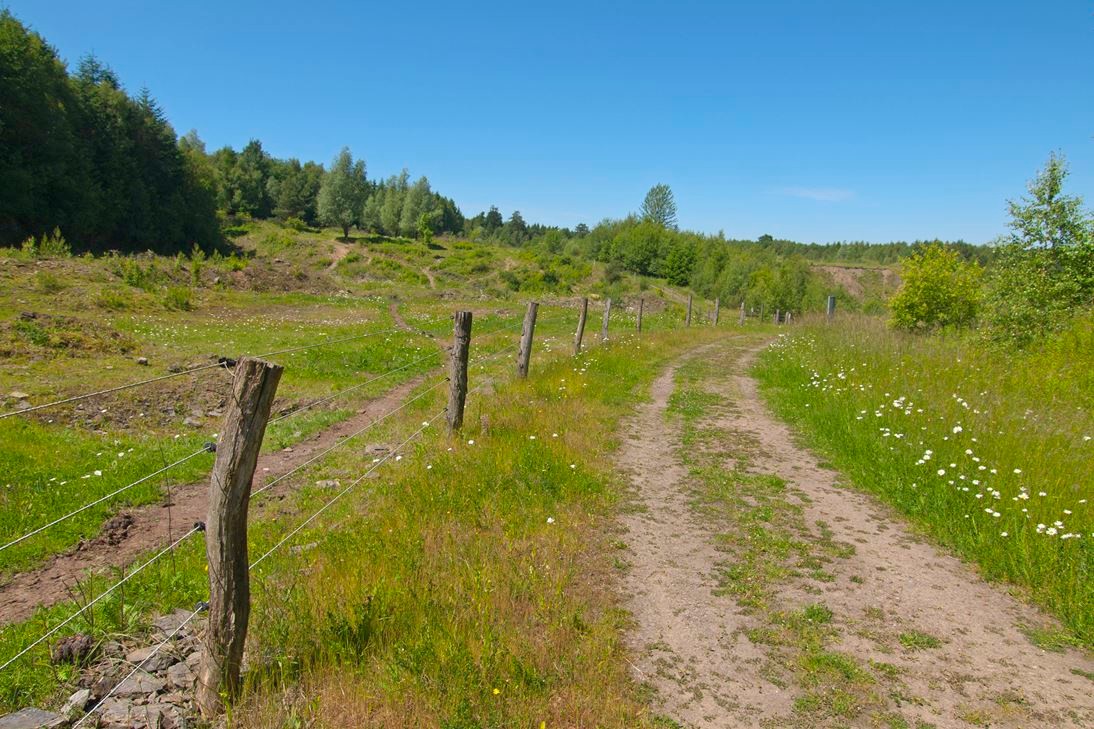 Der Weg durch den Steinbruch. - Foto: Kathy Büscher