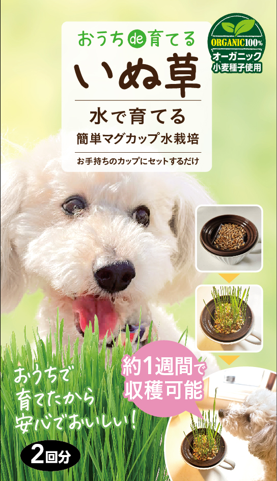 おうちde育てるいぬ草ねこ草