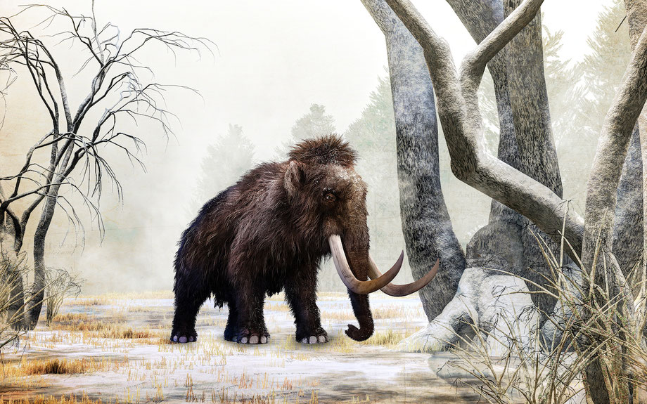 eiszeit safari im serengeti park neuheit 2019