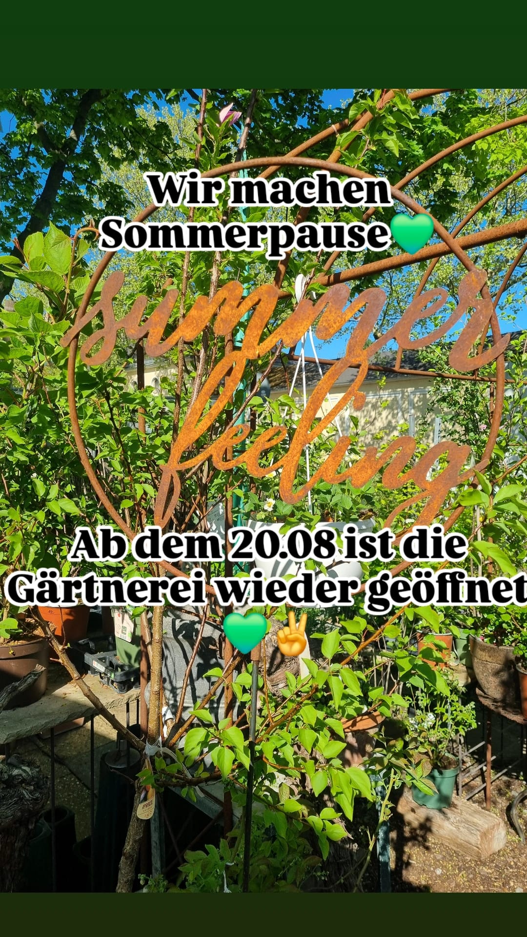 🌻🌴 Sommerlaune ☀️🌺