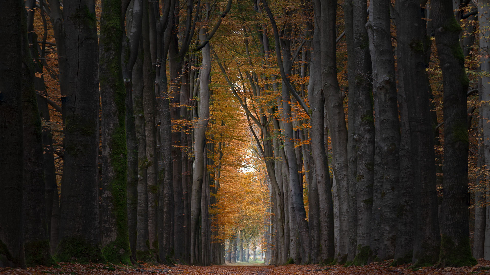 Niederlande November 2025