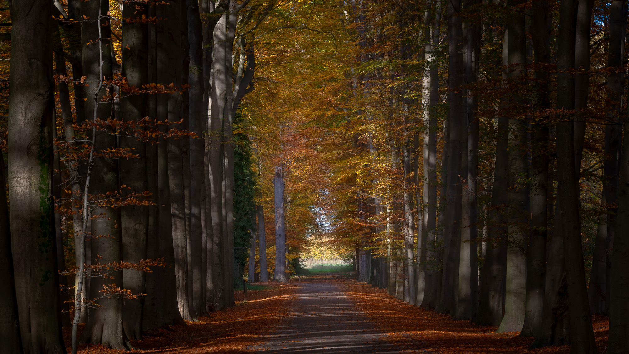 Niederlande November 2025