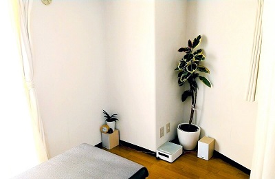 池袋整体ゆっくりの店内にある施術用ベッドと大きな観葉植物の画像