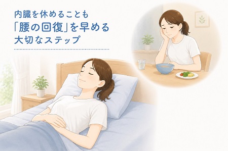 内臓を休めることで腰の回復を早める大切さを解説したイラスト。食欲がないのは修復モードの証拠として無理に食べずにベッドで寝ている女性