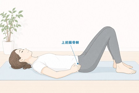 両膝たてて仰向けに寝てる女性が骨盤の一部である上前腸骨棘にふれているイラスト