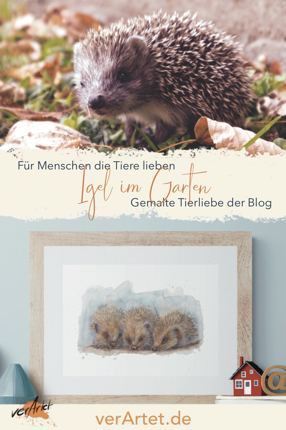 Über Igel im Garten und Winter-Wellness