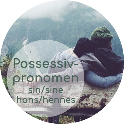 norwegische Possessivpronomen: hans, hennes, deres vs. sin, sitt, sine