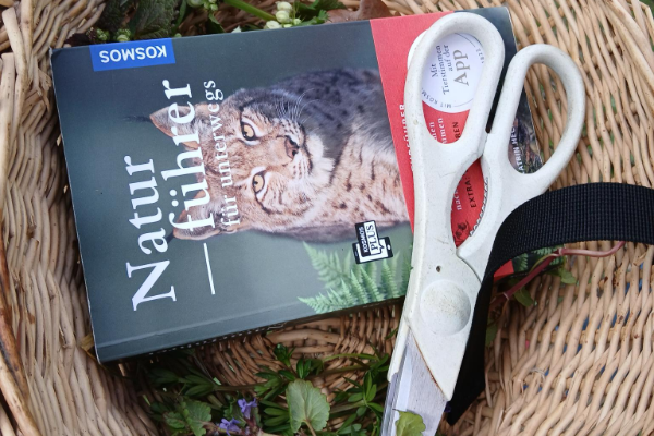 Wildkräuter