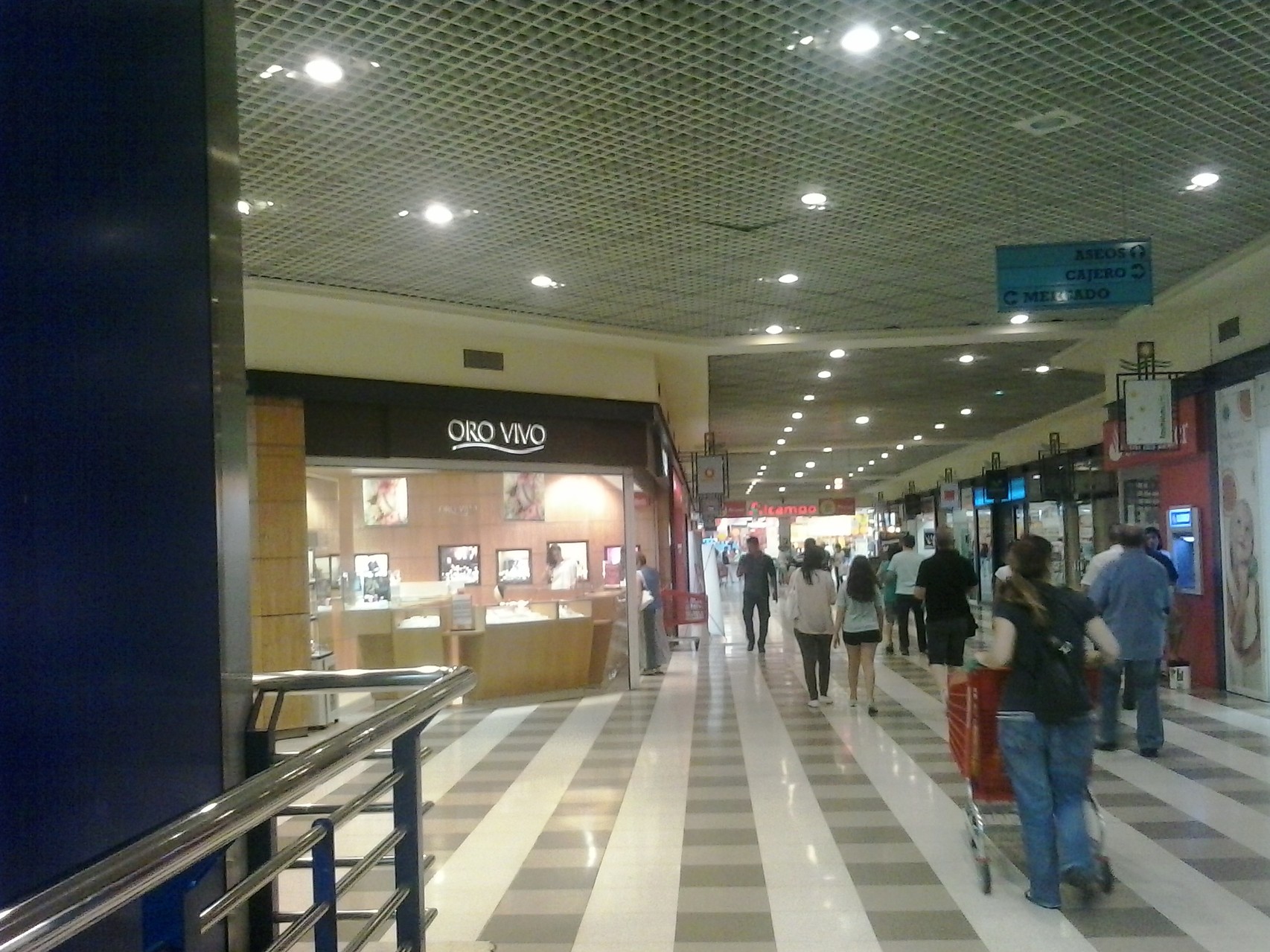 Centro comercial La vega (Alcampo)
