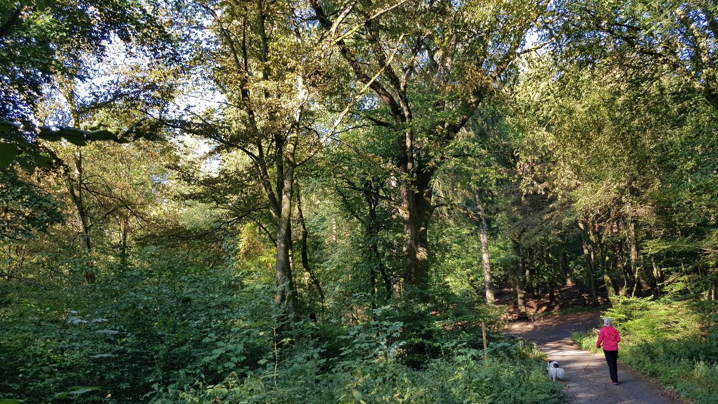 Single wandern rheinland-pfalz