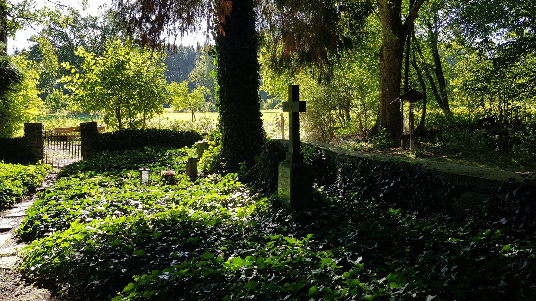 Single wandern rheinland-pfalz