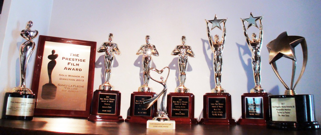 SUIVEZ LA FLECHE won 76 awards around the world between 2011 and 2022