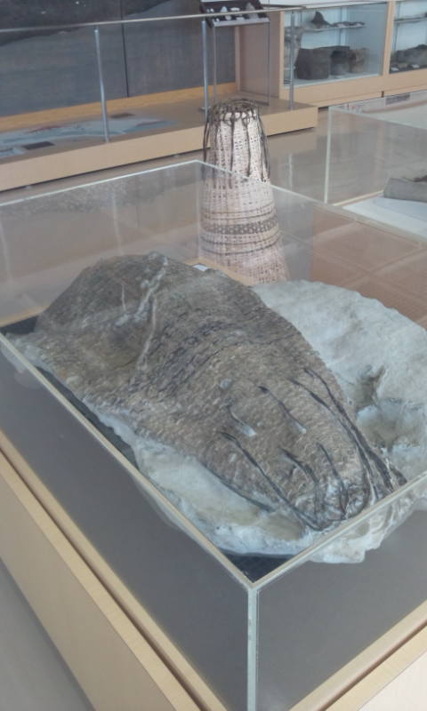 東名遺跡 東名縄文の会