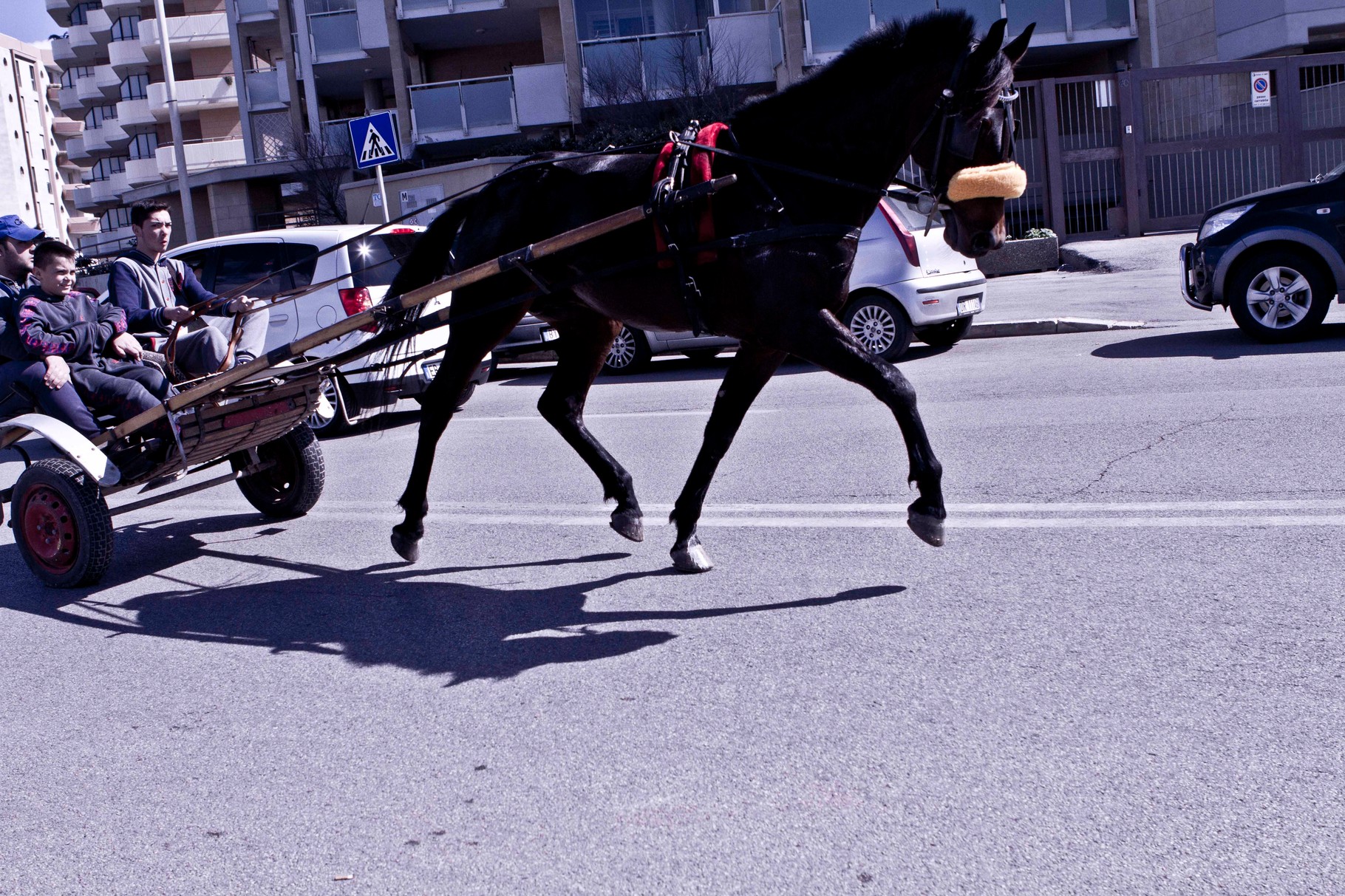 Bari, Ita - All rights reserved
