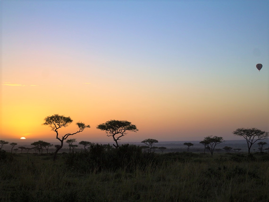 Reisen in Afrika: Das richtige Reiseziel für jeden Urlaubstyp