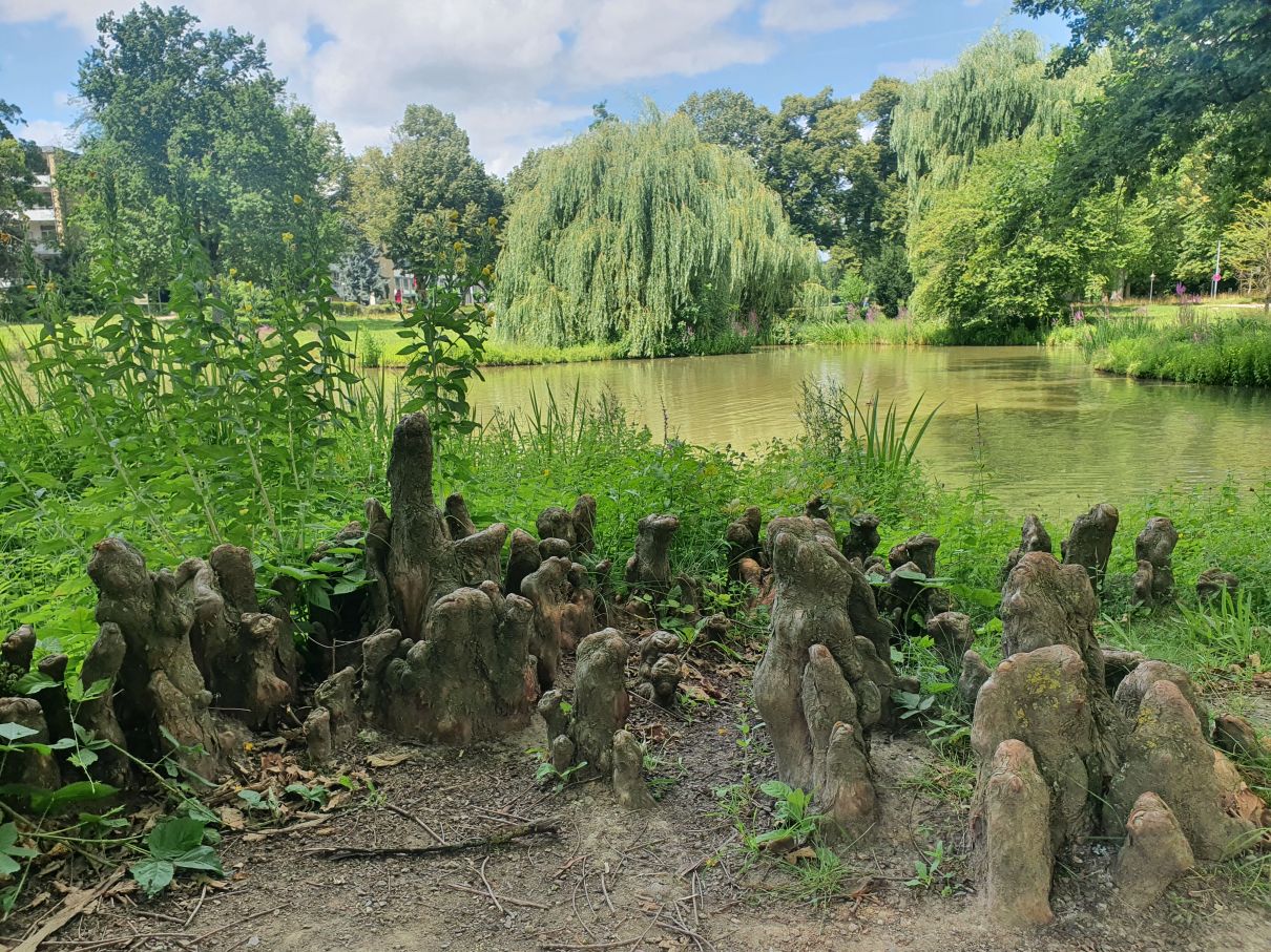 Teich im Kurpark in Bad Homburg