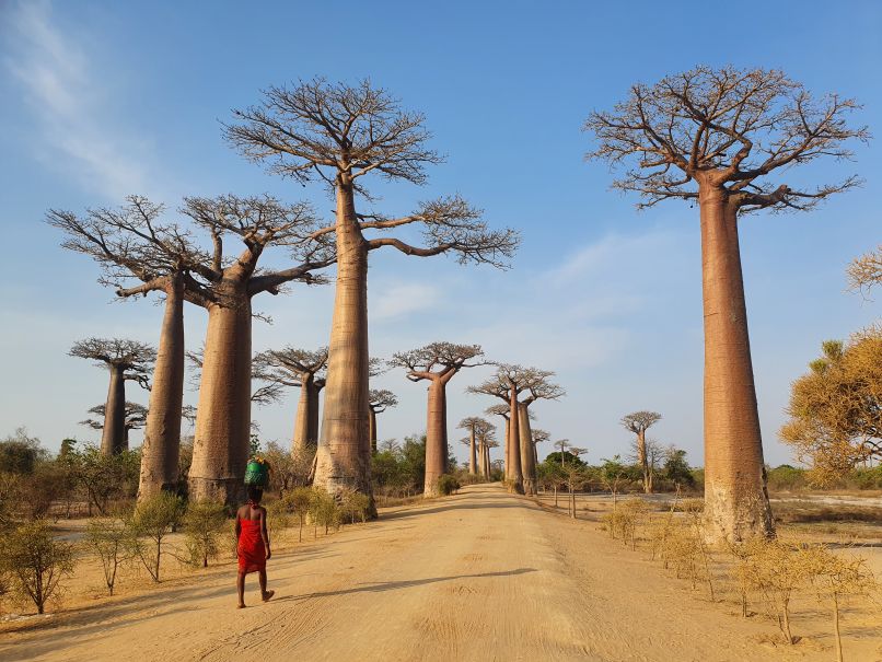 Reisetipps für Madagaskar: Visum, Reisezeit, Route & Co