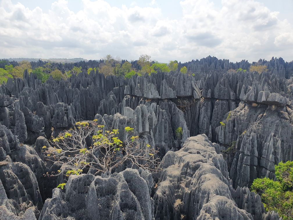 Weltnaturerbe Tsingy de Bemaraha in Madagaskar