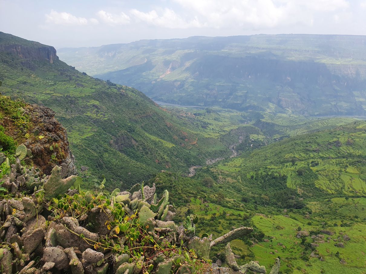 Kultur und Natur in Äthiopien: Debre Libanos und die Portugiesische Brücke