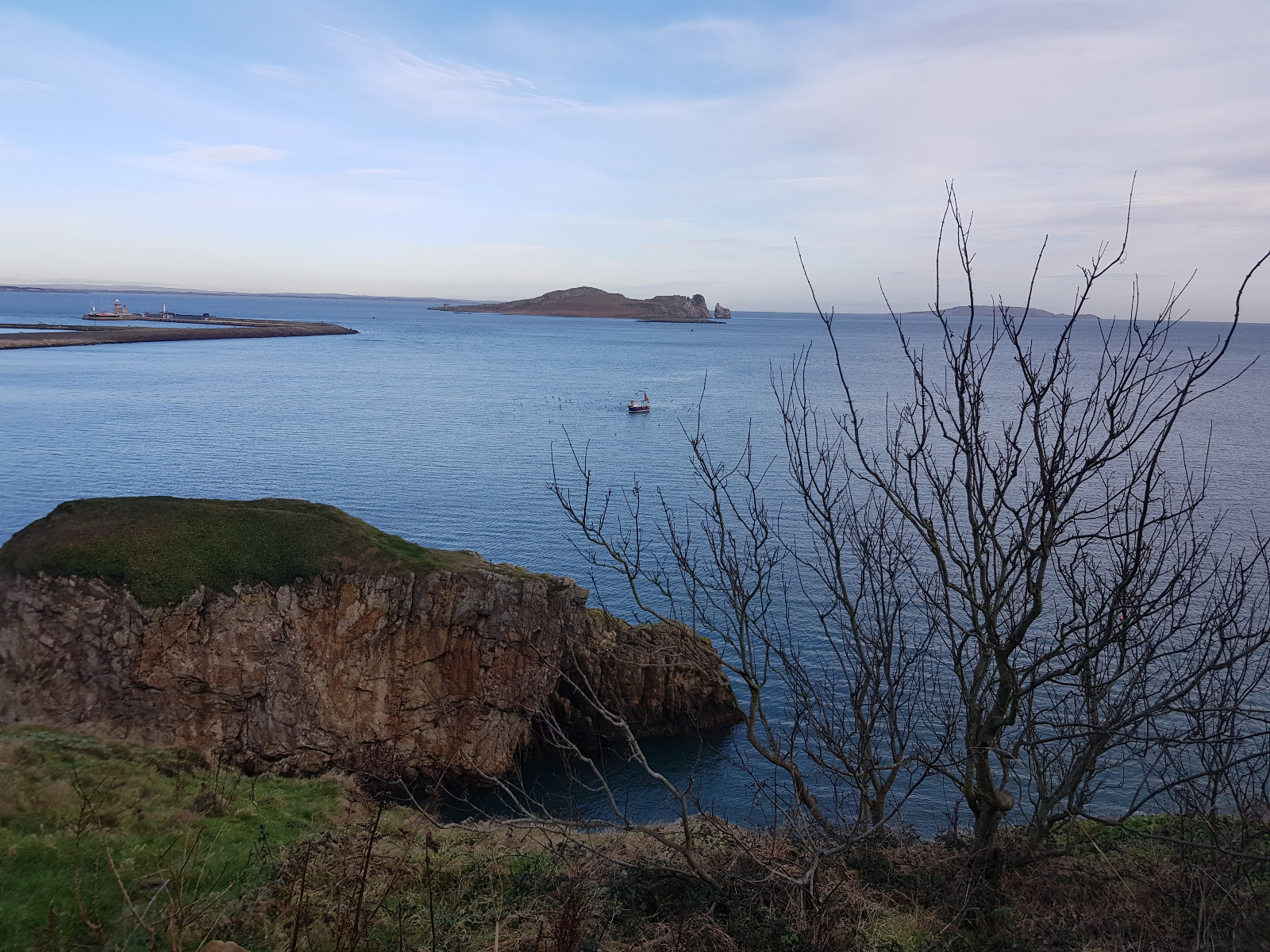 Robbengucken auf dem Cliff Walk in Howth in Irland