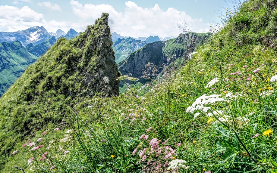 Blick zur Höfats vom Daumen 