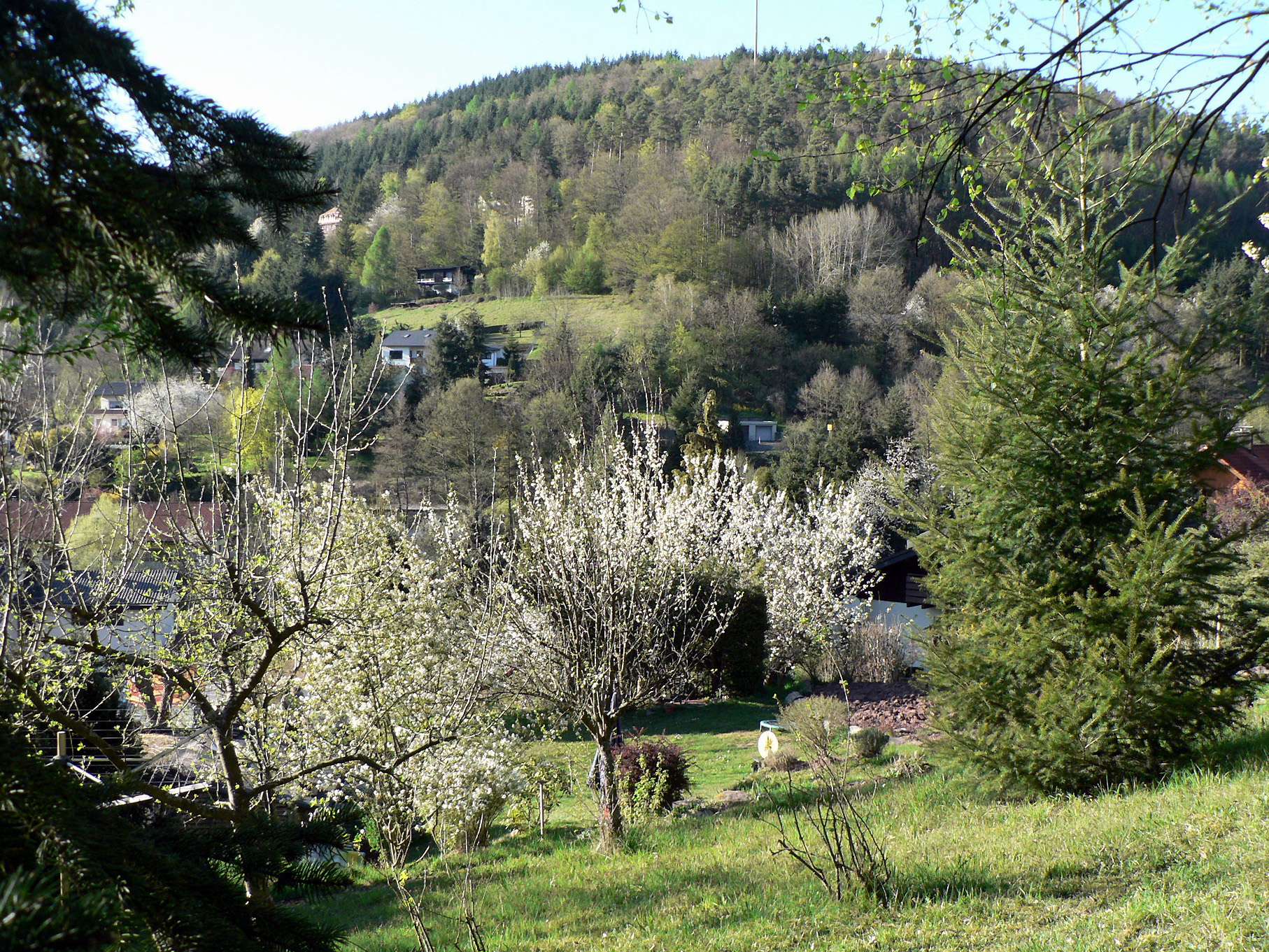 Vom Grundstück (Park) Blick auf den Mühlberg nach Westen