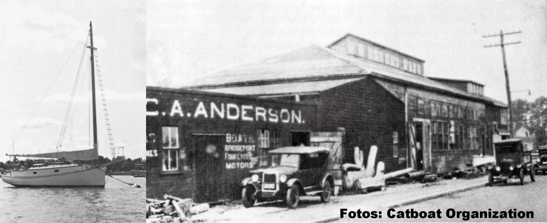 Catboat designers Catboot Seezunge