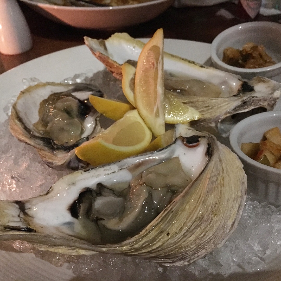 Huge delicious oysters 