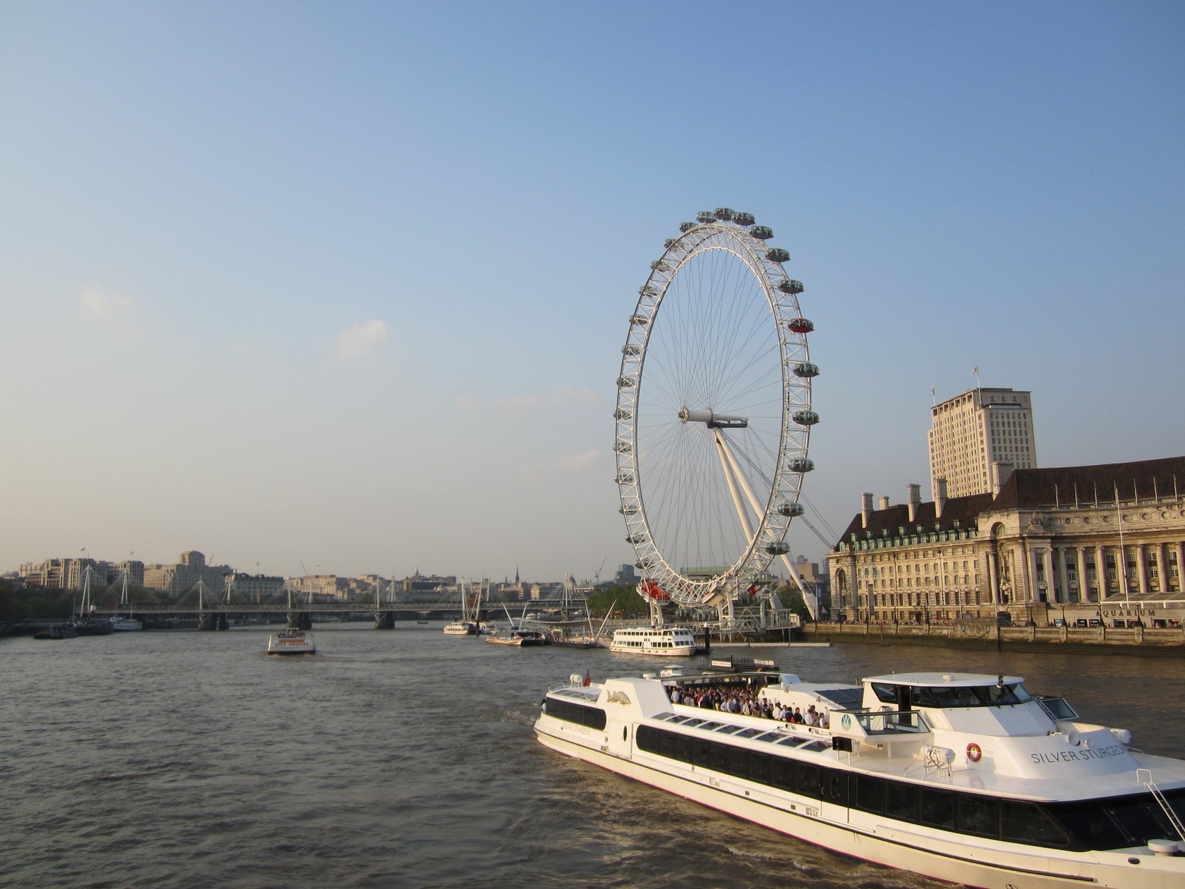 The eye 
