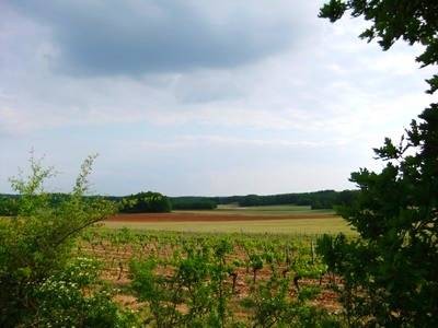 Floressas vignoble de Château Paillas