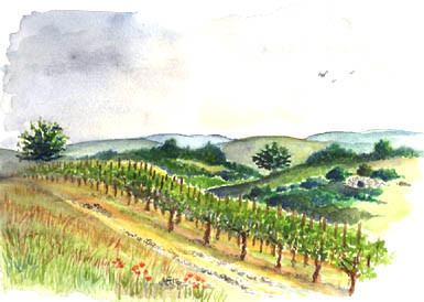 Aquarelle A-M Uyttenbroeck