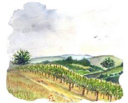 Floressas - vignes et pechs - aquarelle ©A-M Uyttenbroeck