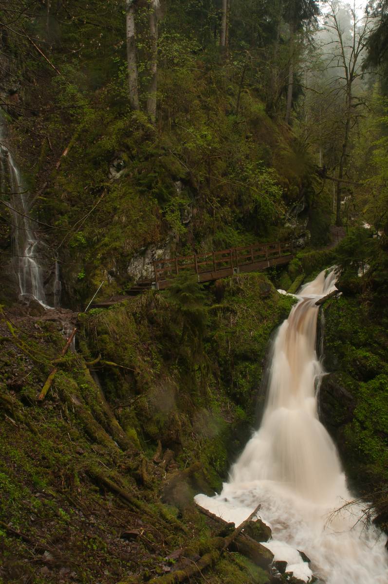 Wasserfall im Schwarzwald - Norbert Kilimann