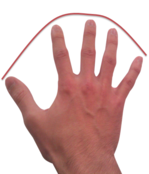 position des mains