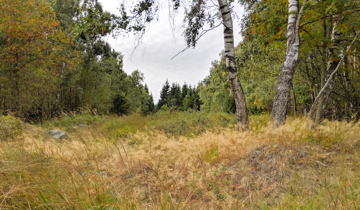 Herbst im Hatzevenn